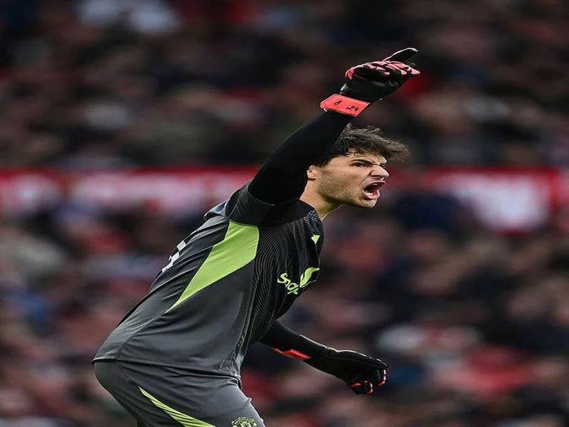 哈格里夫斯:新援里最佳是拉门斯,门将不行曼联进不了前四